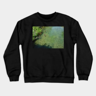 Ducks and Fish Swimming Together in a River Crewneck Sweatshirt